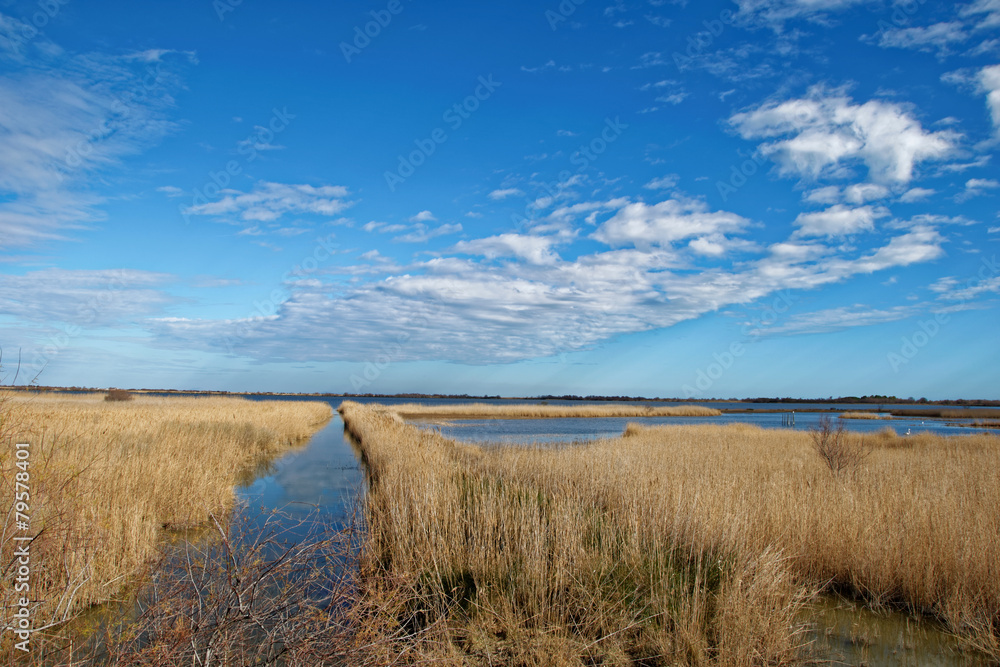Paysage Camargue Paysage Camargue