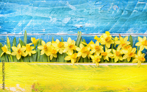 Fototapeta Kwiatu powitania daffodils drewna tło