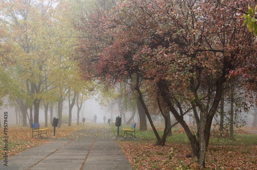 Naklejka premium Morning in the park