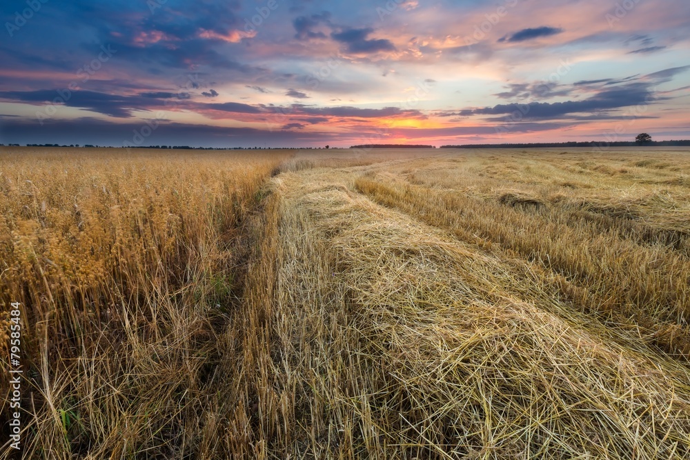 Fototapeta premium Stubble field at sunset, landscape with spectacular clouds