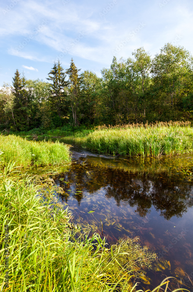 Fototapeta premium Beautiful summer landscape with small tranquil river in sunny da