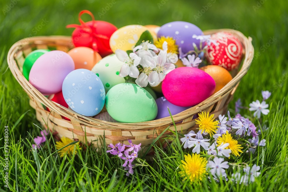 Easter eggs in basket on meadow