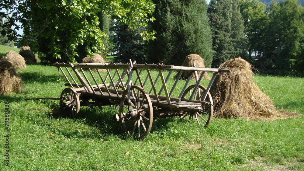 Obraz premium wóz na siano