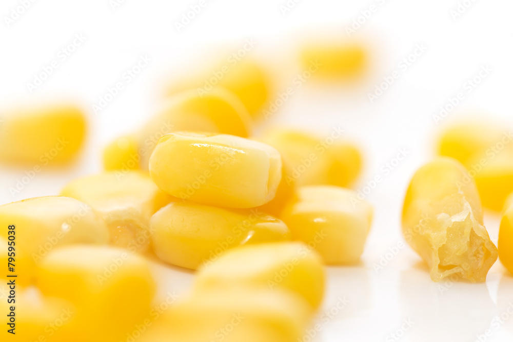 Fototapeta premium corn on a white background. close-up