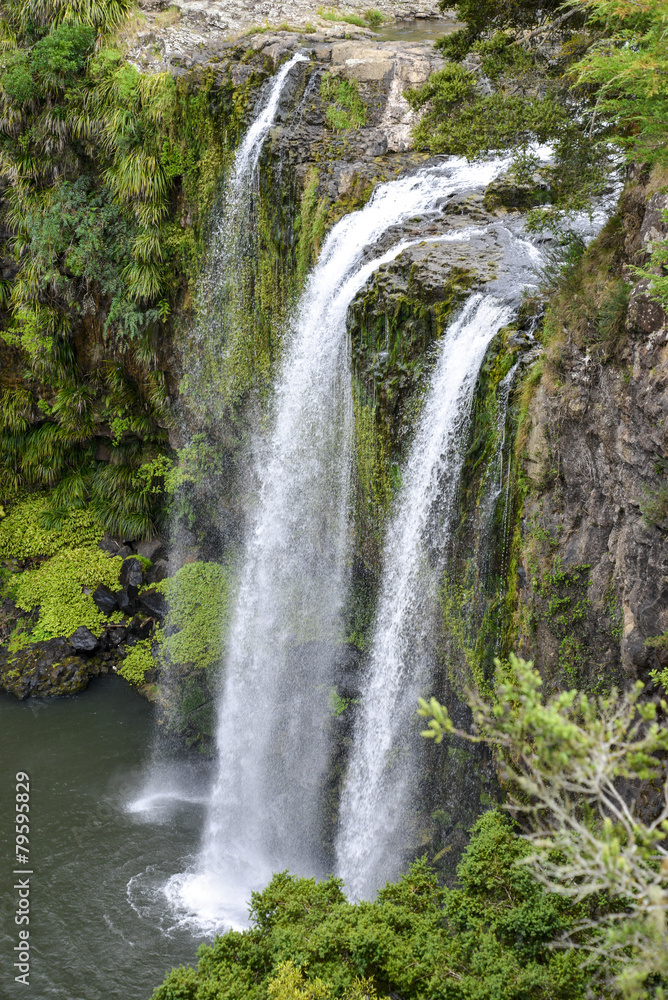 Fototapeta premium A scenic view of Whangarei waterfall and pond underneath