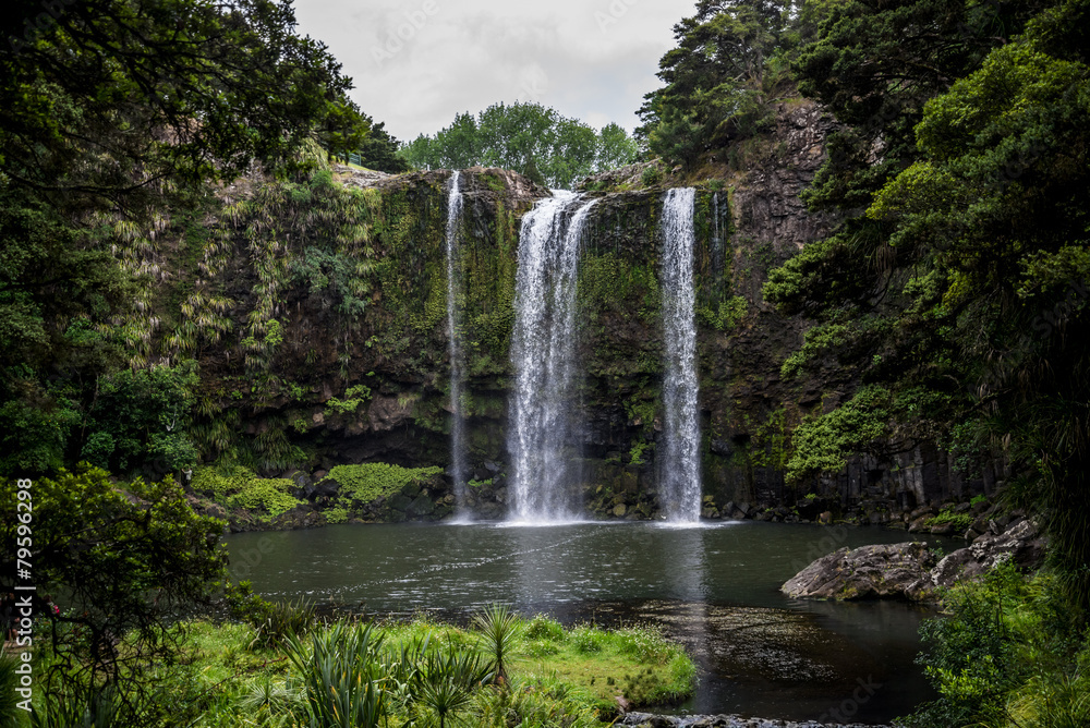 A scenic view of Whangarei waterfall and pond underneath