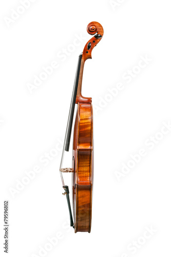 Profilo di Violino