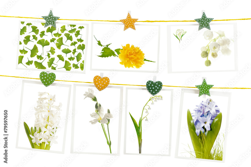 Naklejka Wiszące pocztówki z wiosennymi kwiatami