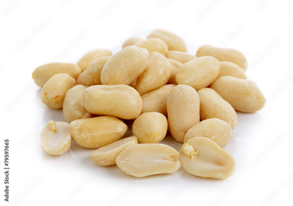 peanut on white background peanut on white background