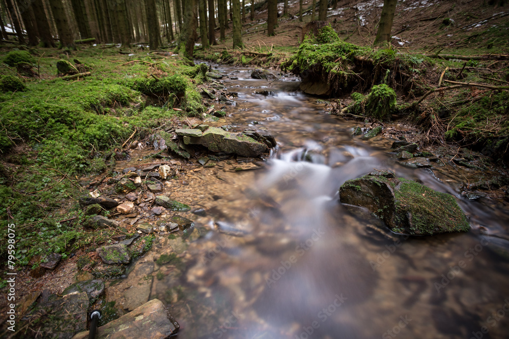 small river in a cold winter forest small river in a cold winter forest