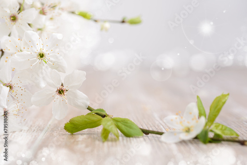 Spring background with white blossoms