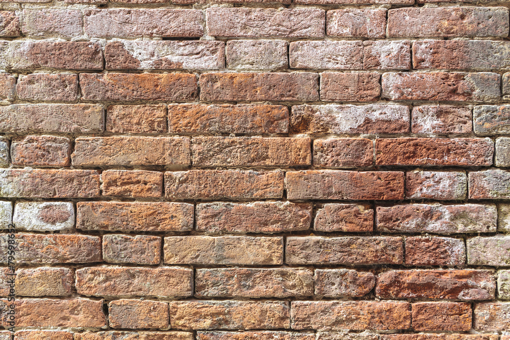 Fototapeta premium Red brick wall background