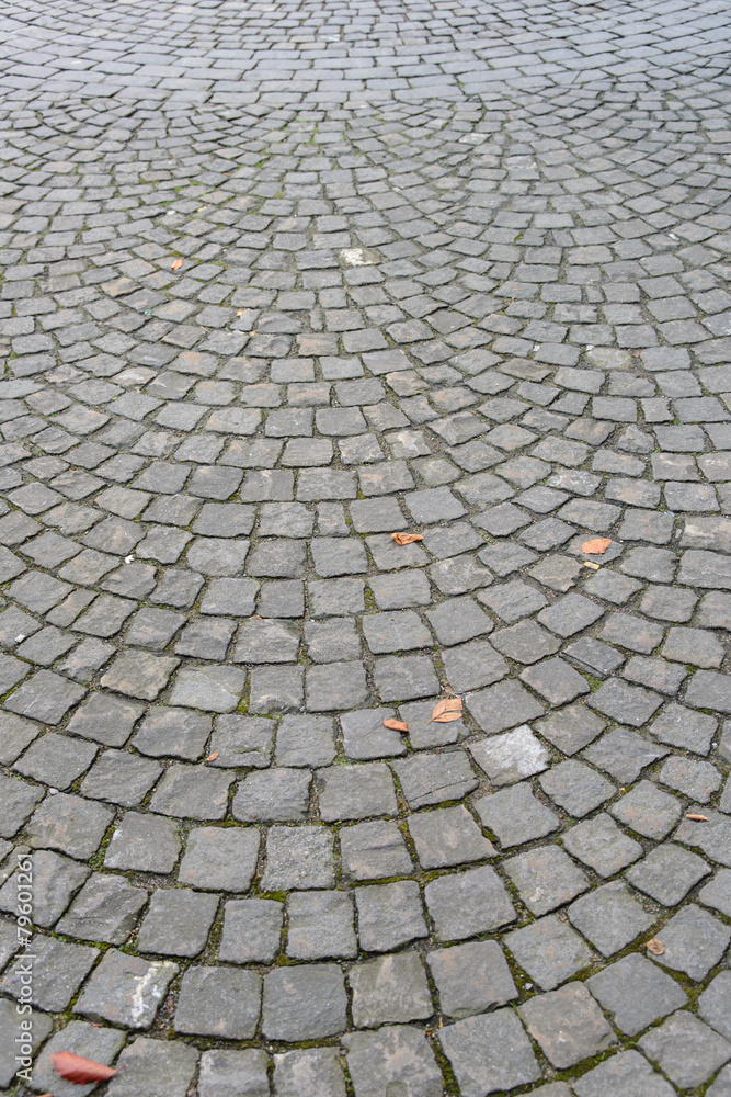 Pavement of granite with fish scale pattern