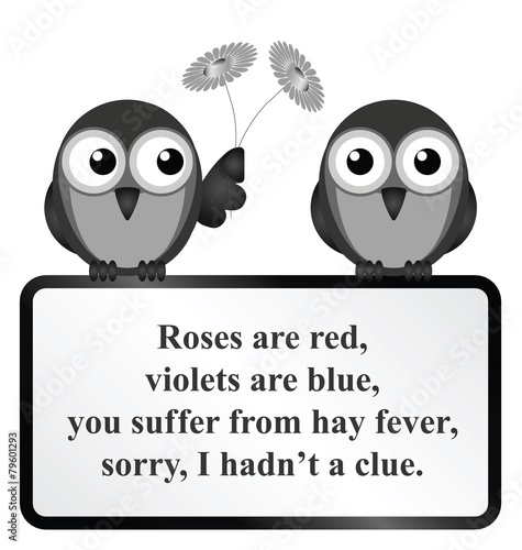 Monochrome comical Hay Fever poem