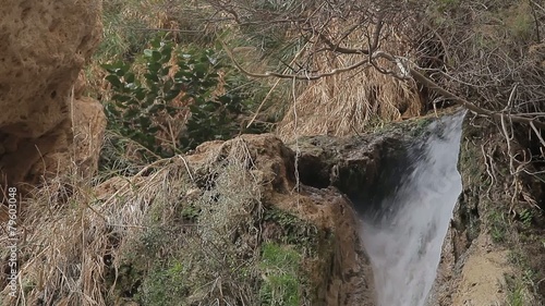 ein gedi on the dead sea. waterfall