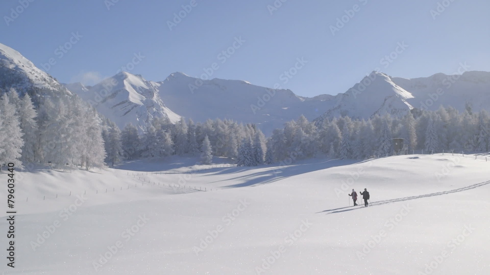 Senior couple walking with ski pole in snow during winter Senior couple walking with ski pole in snow during winter