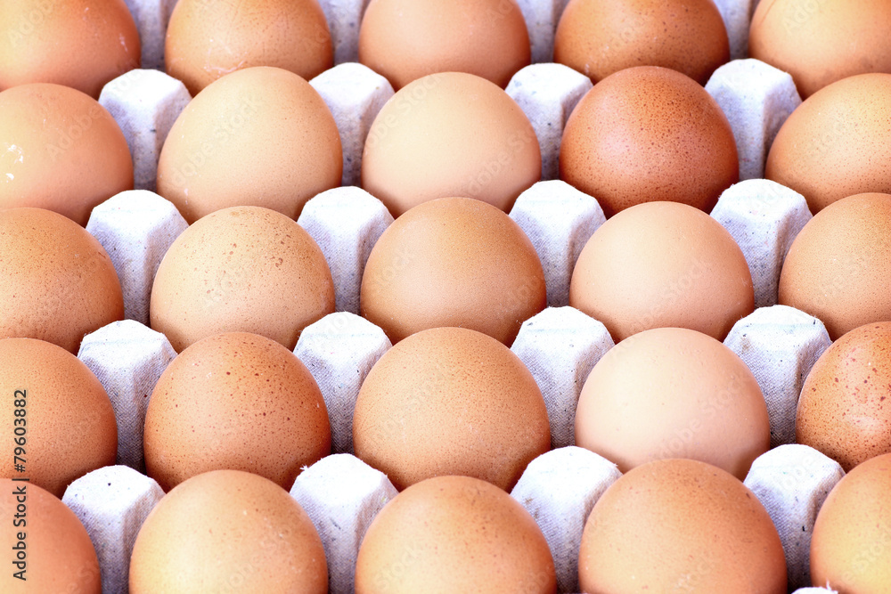 Chicken brown egg closeup view background Chicken brown egg closeup view background
