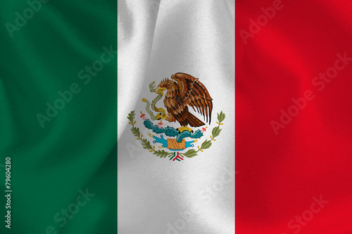 メキシコ　 国旗　旗