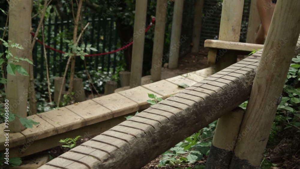 Male stepping on balancing bar on fitness trail Male stepping on balancing bar on fitness trail