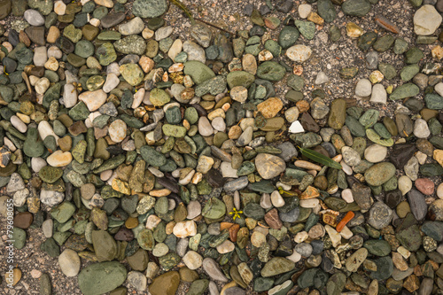 Brightly colored green stones at Illia beach, Evia, Greece photo