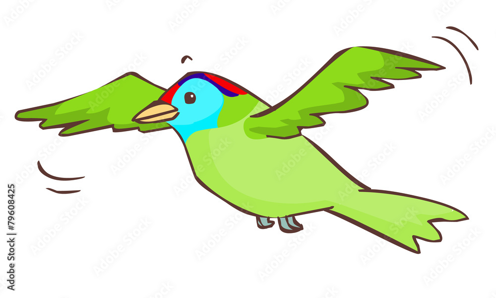 Obraz premium barbet bird flying in the sky illustration vector