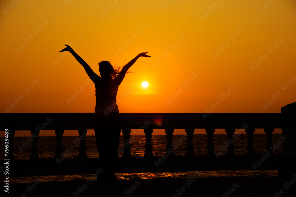 Fototapeta premium Silhouette of woman in sunny summer meadow - Stock Image