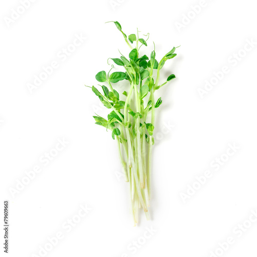 closeup green pea sprout  on white background