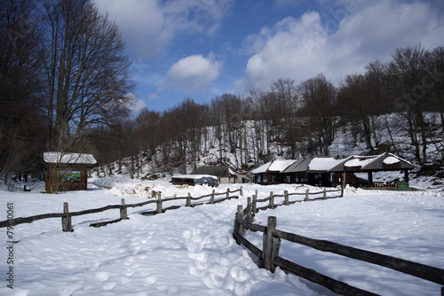 part of plitvice national park under snow © Nino Pavisic