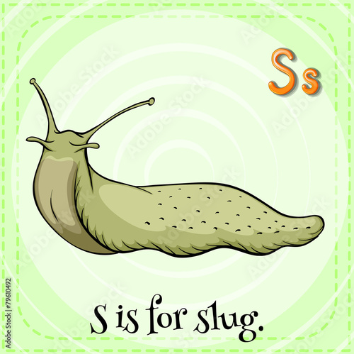 Letter S