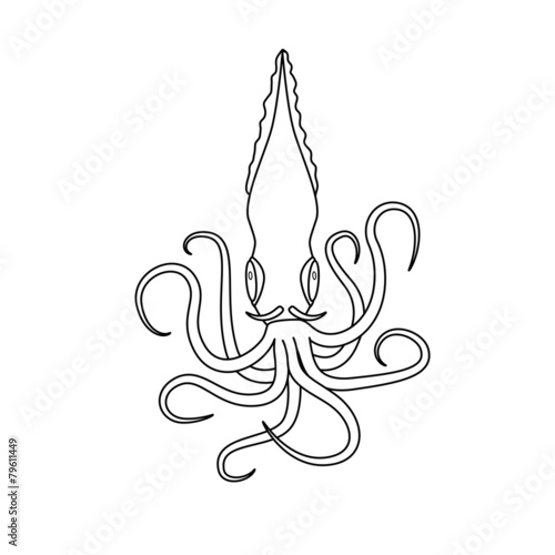 Coloring book: Cartoon squid