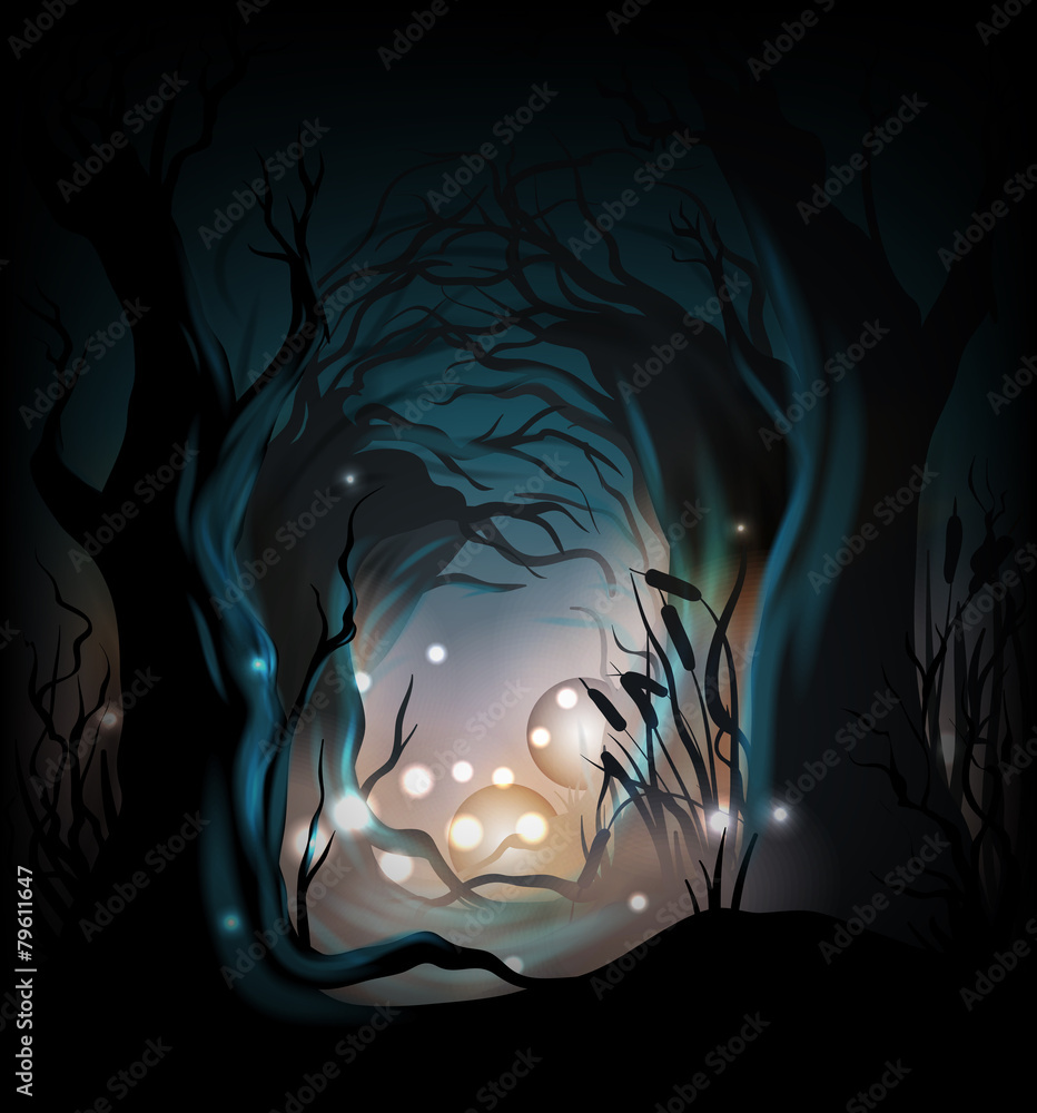 Fototapeta premium Mysterious forest background