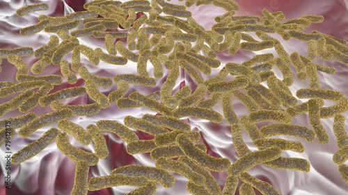 infection by bacteria