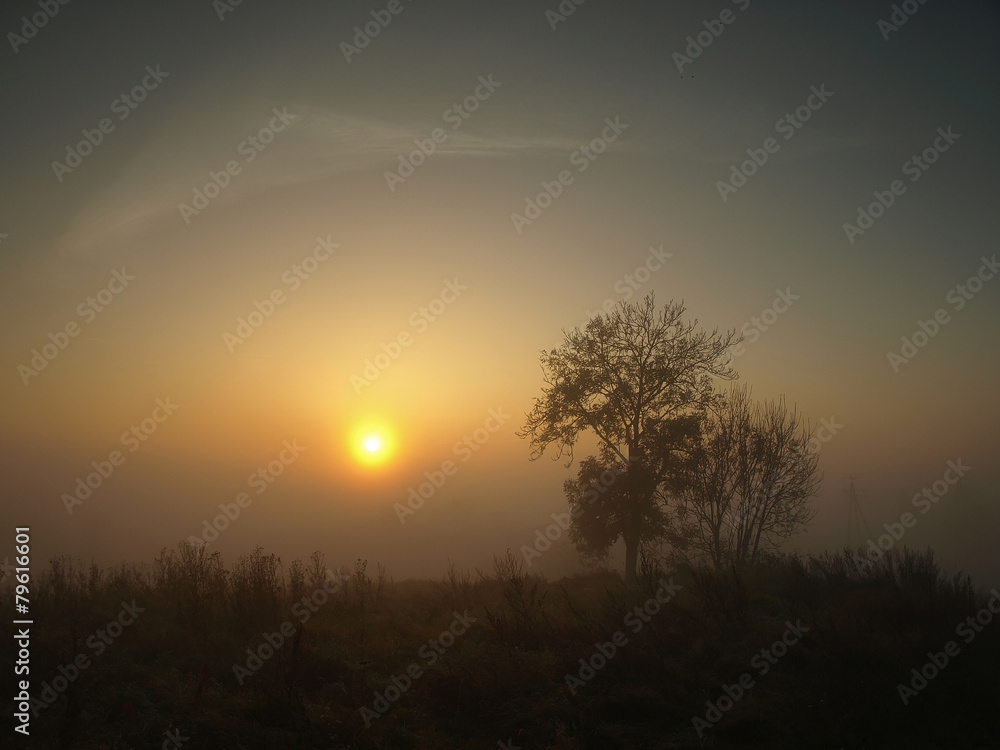 autumn foggy sunrise