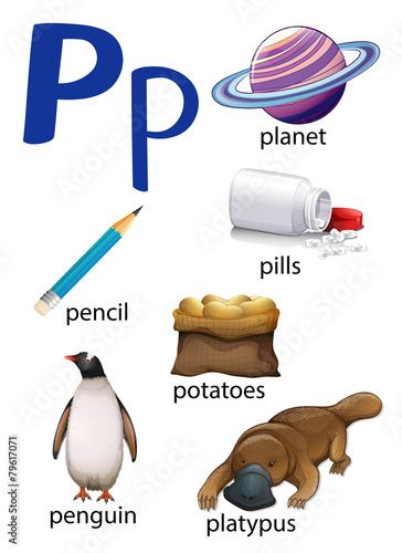 Things that start with the letter P