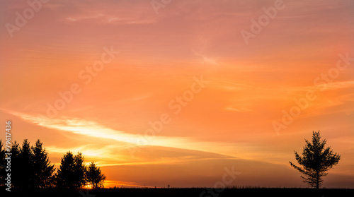 Evening sunset on the field