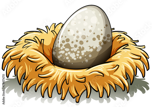 Nest with an egg