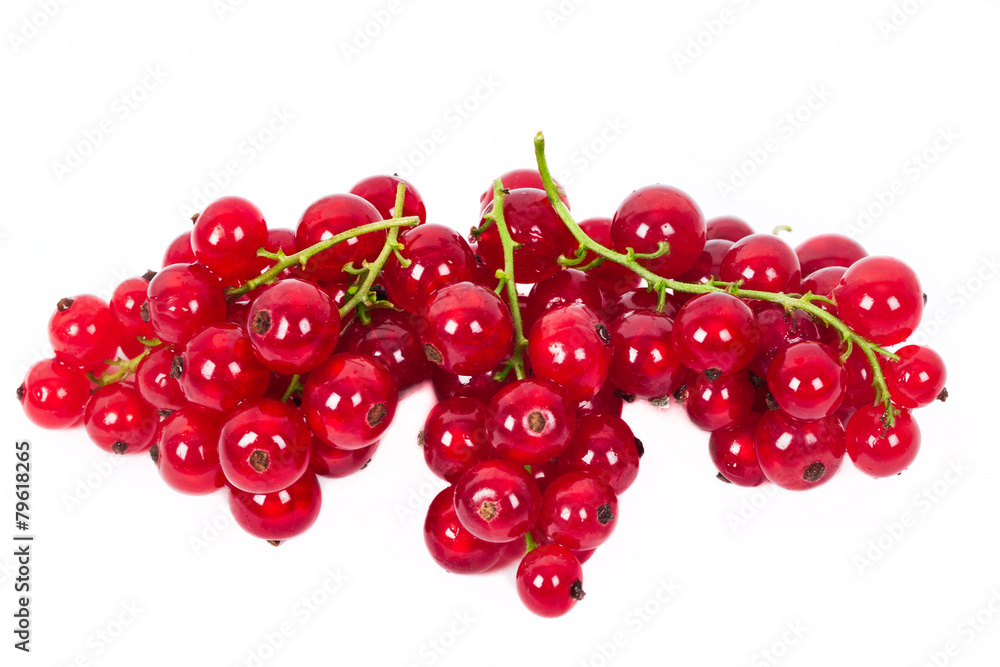 Redcurrant, isolated on white Redcurrant, isolated on white