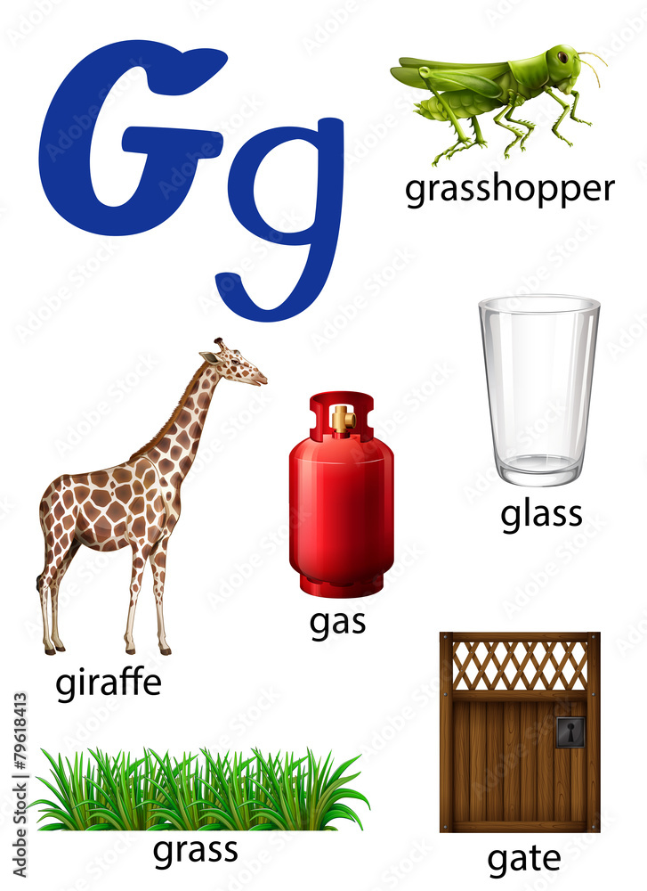 What Things Start With Letter G