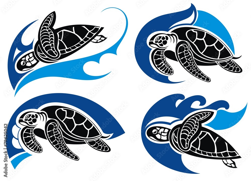 Fototapeta premium Sea turtle .Summer symbols