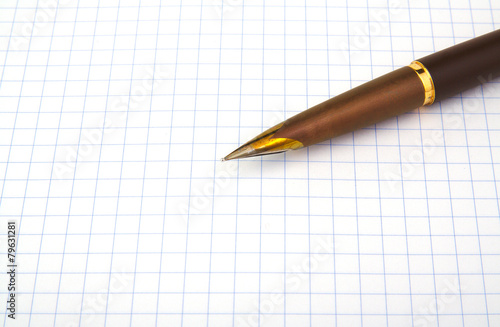 Brown fountain pen on notebook © jorgecachoh