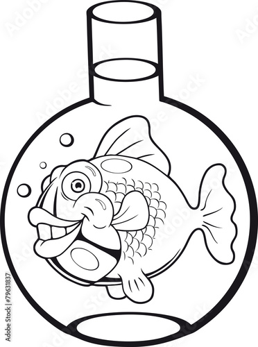goldfish