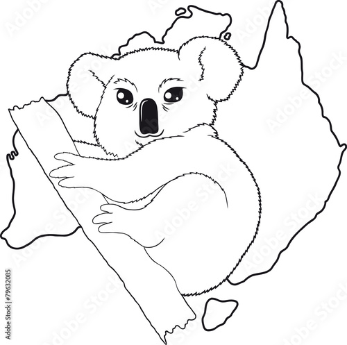 koala