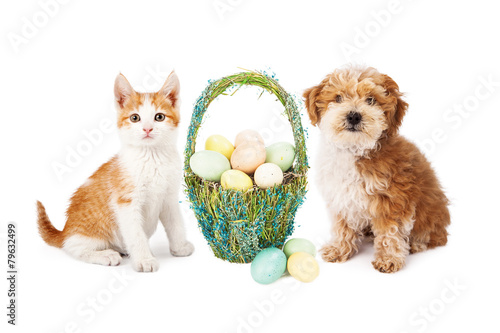 Fototapeta Naklejka Na Ścianę i Meble -  Easter Puppy Dog and Kitten