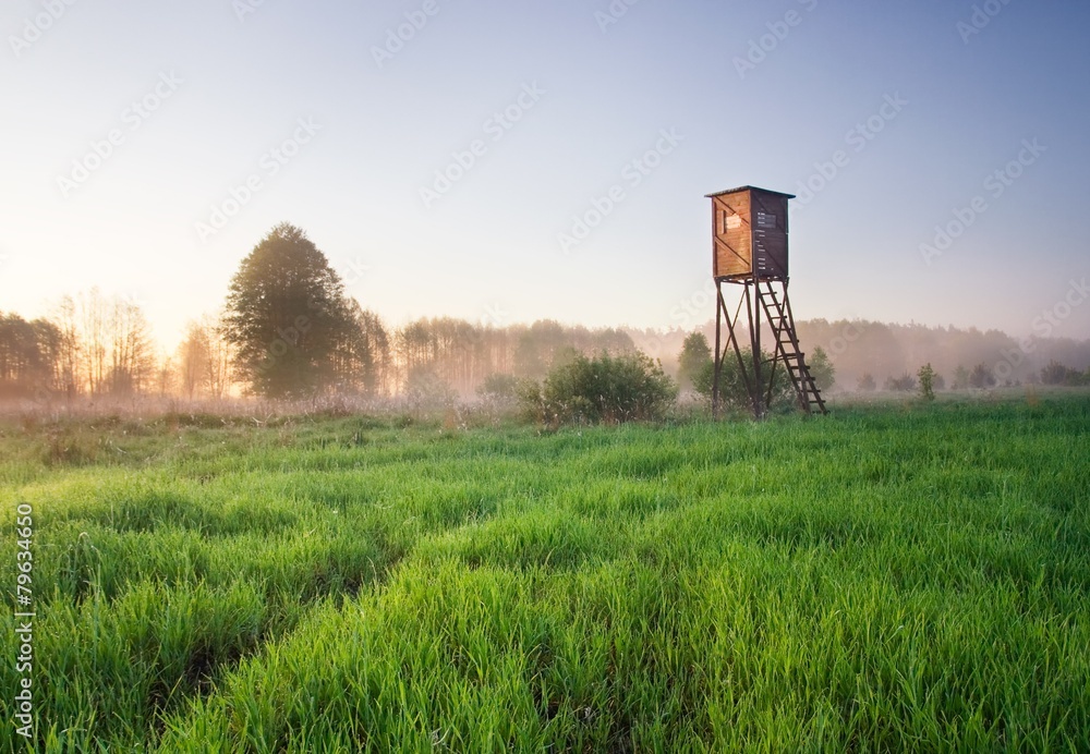 Fototapeta premium Raised hide on foggy meadow