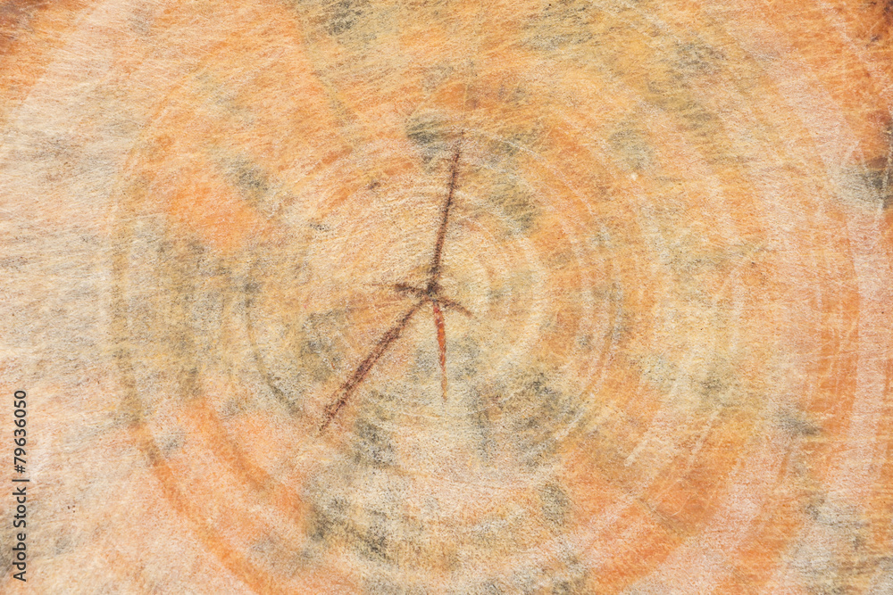 Naklejka premium Wood texture with scratch background