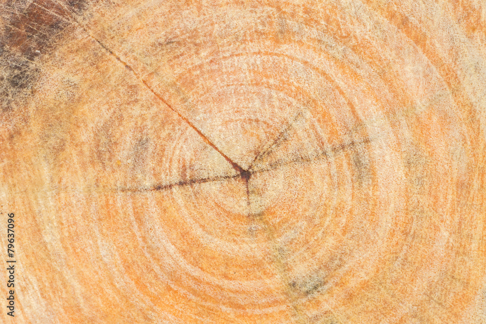 Naklejka premium Wood texture with scratch background