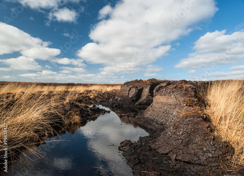 Irish peat Bog landscape