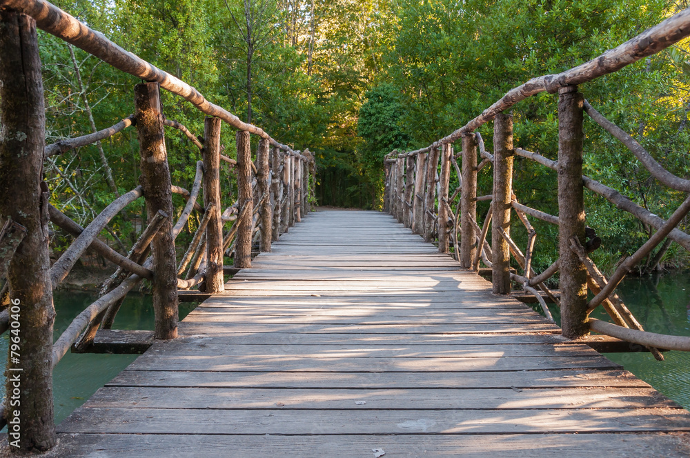 Wooden bridge in a park