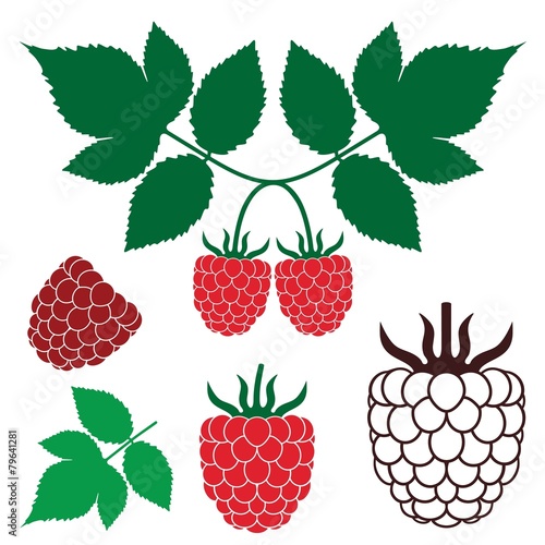 Raspberry