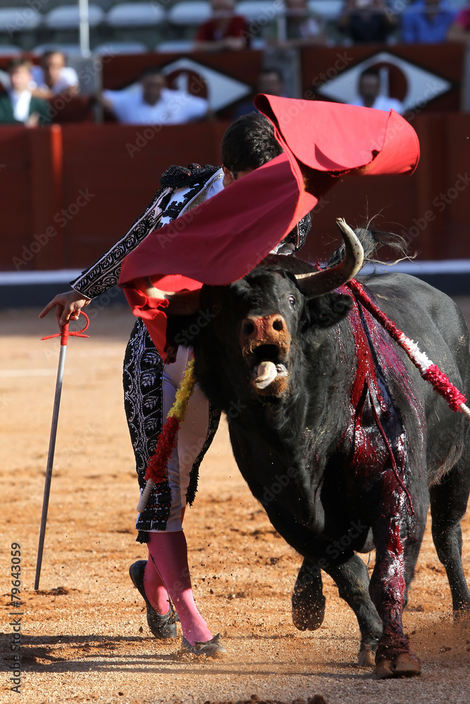 Torero Stock Photo | Adobe Stock
